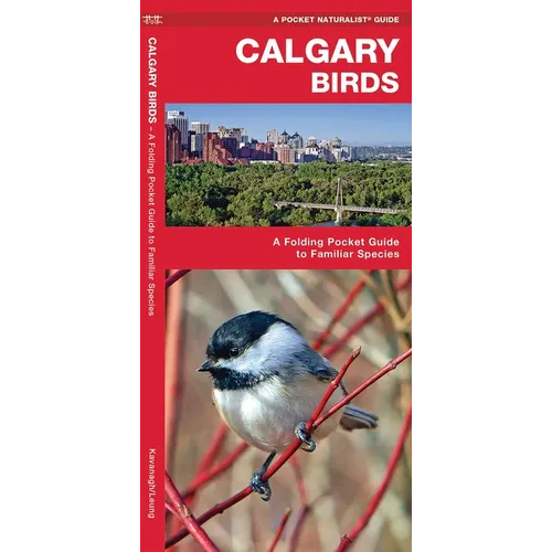 Calgary Birds: A Folding Pocket Guide to Familiar Species - Paperback