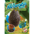 See an Avocado Grow - Library Binding