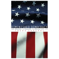 Diminished Democracy: From Membership to Management in American Civic Life - Paperback