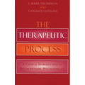 Therapeutic Process: A Clinical Introduction to Psychodynamic Psychotherapy - Paperback