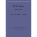 CP Violation - Paperback