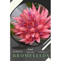 Bromeliads: Prodigy Petal, Plant Guide - Paperback
