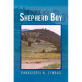 The Voyage of a Shepherd Boy - Hardcover