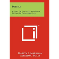 Fossils: A Story of the Rocks and Their Record of Prehistoric Life - Paperback