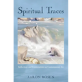 Spiritual Traces: Reflections and Conversations on Contemporary Art - Hardcover