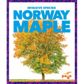 Norway Maple - Library Binding