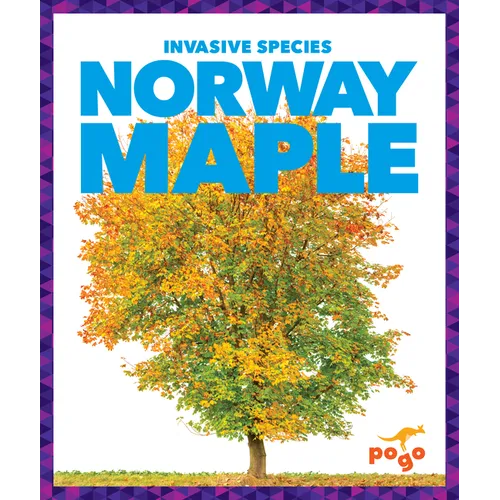 Norway Maple - Library Binding