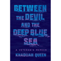 Between the Devil and the Deep Blue Sea: A Veteran's Memoir - Hardcover
