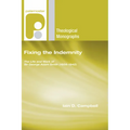 Fixing the Indemnity - Paperback