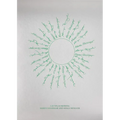 Las Vegas Ikebana: Maren Hassinger and Senga Nengudi - Paperback