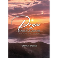 PRAISE in the VALLEY OF DESPAIR: A Book of Poems - Paperback