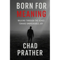 Born For Meaning: Walking Through The Ashes Toward Unbreakable Joy - Paperback