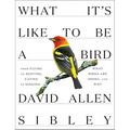 What It's Like to Be a Bird: From Flying to Nesting, Eating to Singing--What Birds Are Doing, and Why - Hardcover