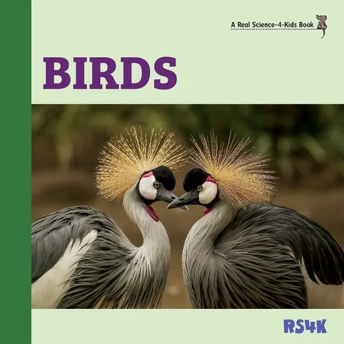Birds - Paperback