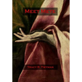 Meet Mete - Paperback