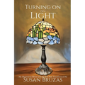 Turning on the Light: My Mysterious Illness and the Year that Transformed Me - Paperback