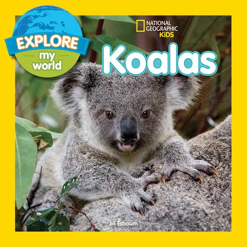 Explore My World: Koalas - Paperback