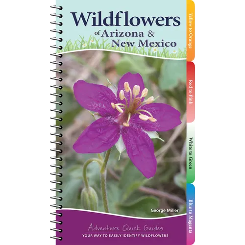 Wildflowers of Arizona & New Mexico: Your Way to Easily Identify Wildflowers - Spiral