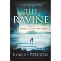 The Ravine: A Novel of Evil, Hope, and the Afterlife - Paperback