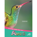 Aves: Birds - Paperback