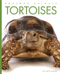 Tortoises - Paperback
