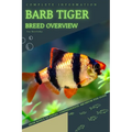 Barb Tiger: From Novice to Expert. Comprehensive Aquarium Fish Guide - Paperback