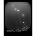 Dispatches from the Drownings: Reporting the Fiction of Nonfiction - Paperback
