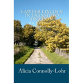 Lawyer Lincoln In Transit To Freedom: An historical nonfiction novel - Paperback