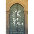 I Believe in the Name of Jesus: Knowing Jesus Through His Seven "I Am" Statements - Paperback