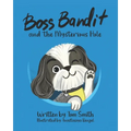 Boss Bandit and the Mysterious Hole - Paperback