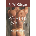 What He Wants: Gay Erotic Stories - Paperback