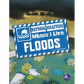 Floods - Paperback