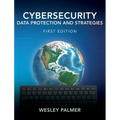 Cybersecurity - Data Protection and Strategies: First Edition - Hardcover