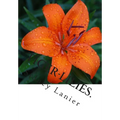 Tiger-Lilies.: A Novel. - Paperback