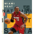 The Story of the Miami Heat - Library Binding