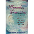 Miraculous Encounters: True Stories of Experiences with Angels and Departed Loved Ones - Paperback