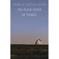 The Plain Sense of Things - Paperback