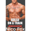 Bulge on a Train: A Gay Public Sex Story - Paperback