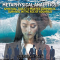 Metaphysical Analytics: Spiritual Tools to Master Corporate Survival in the Age of Aquarius: The Alchemy of Business-Spiritual Tools for Corporate Sur - Paperback