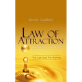 Law of Attraction Success Stories: The Law and The Promise - Paperback