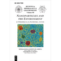 Nanoparticles and the Environment - Paperback