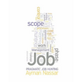 Pragmatic Job Hunting: Using Project Management Concepts to Improve Job Hunting Efficiencies - Paperback