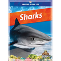 Sharks - Library Binding
