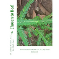Chosen to Heal: African Traditional Health Care As A Way of Life - Paperback