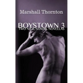 Boystown 3: Two Nick Nowak Novellas - Paperback