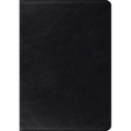 Study Bible-ESV - Leather