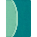 CSB Rainbow Study Bible, Teal Leathertouch (Limited Edition) - Imitation Leather