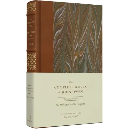 The Holy Spirit--The Comforter (Volume 8) - Hardcover