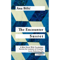 The Encounter / Susret: A Mini Novel With Vocabulary Section for Learning Croatian, Level - Perfection Plus (C1) = Advanced High, 2. Edition - Paperback