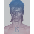 David Bowie Is: Inside the Visionary World of David Bowie - Paperback